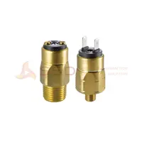 Suco  Pressure Switches Hex 24 0167